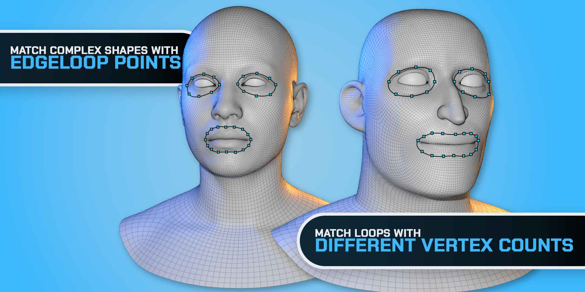Correspondence points distributed around eye and mouth loops on two differently shaped character meshes