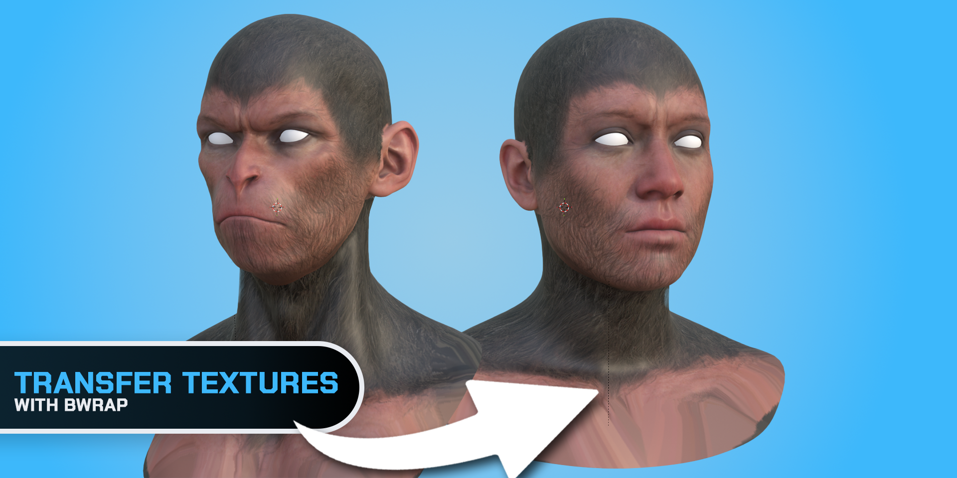 Skin and hair textures transferred from a detailed target character onto the wrapped mesh