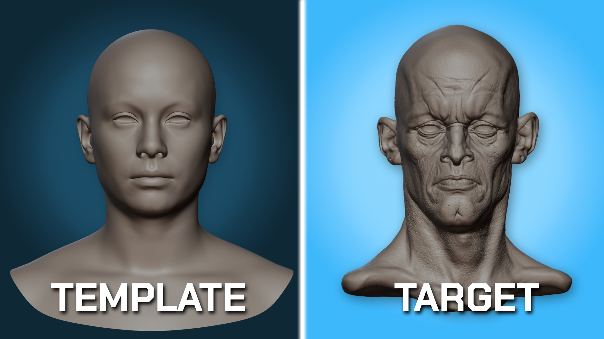 Clean Template mesh and detailed Target sculpt displayed side by side for setup